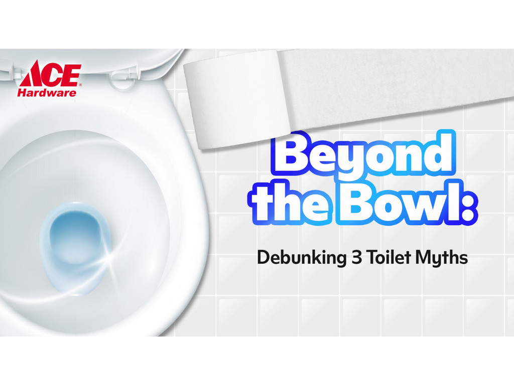 Beyond the Bowl: Debunking 3 Toilet Myths