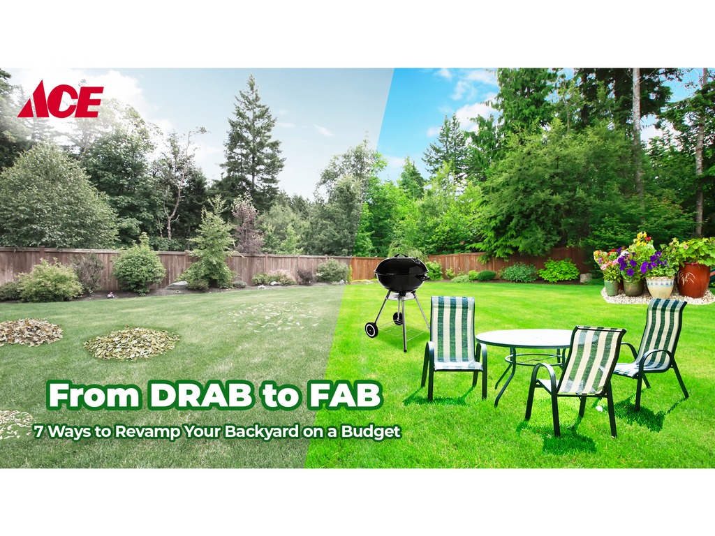 From Drab to Fab: 7 Ways to Revamp Your Backyard on a Budget