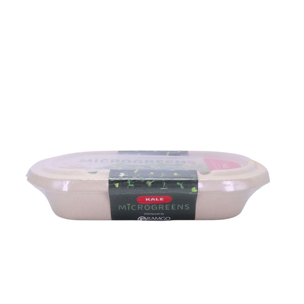 RAMGO Microgreens Kit Kale Red Russian 10G