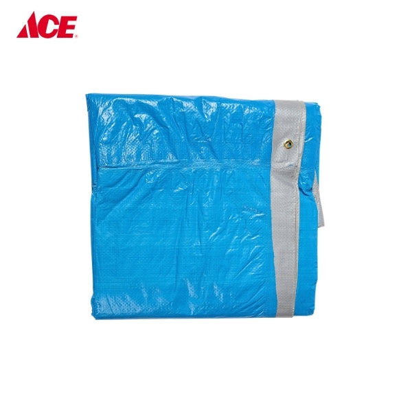POLY CANVAS 12x18ft. Tarpaulin - Blue/Silver