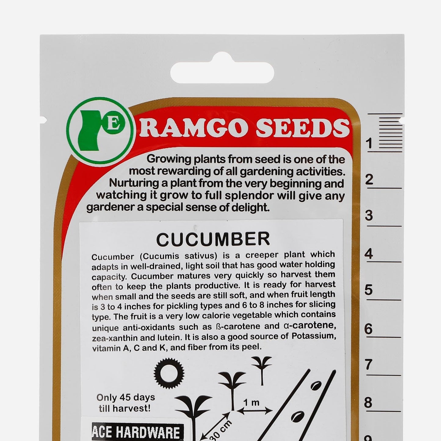 RAMGO Cucumber Poinsett Seeds
