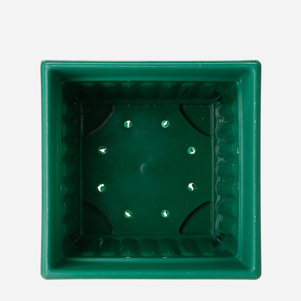 RAMGO Ionic Square Pot and Saucer - Green