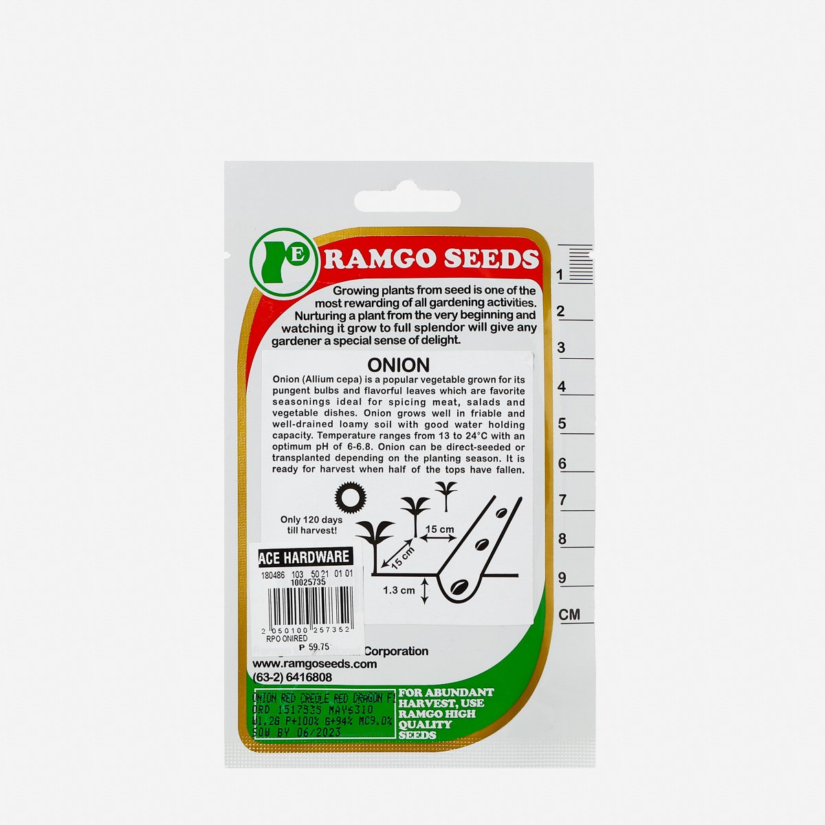 RAMGO Onion Red Creole Seeds