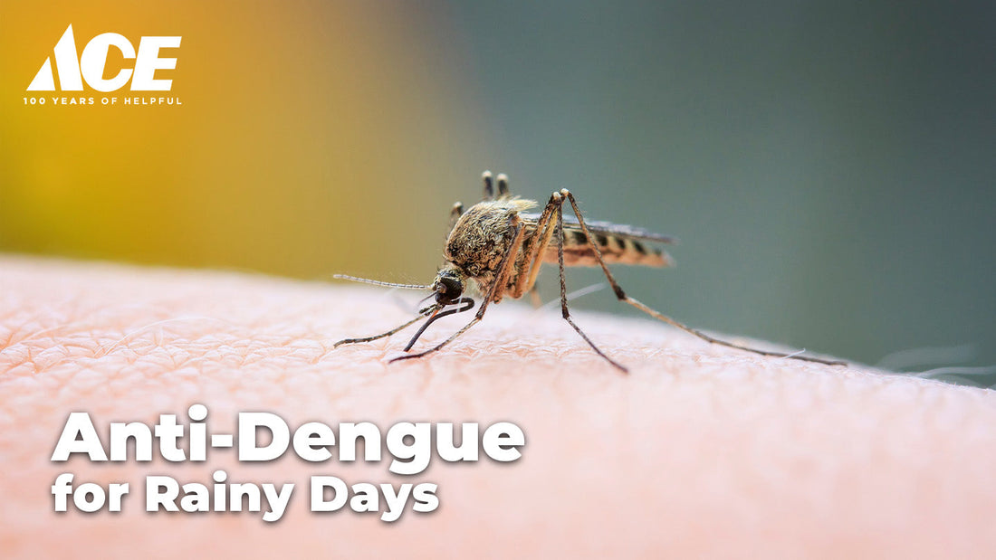 Anti-Dengue Tactics for Rainy Days