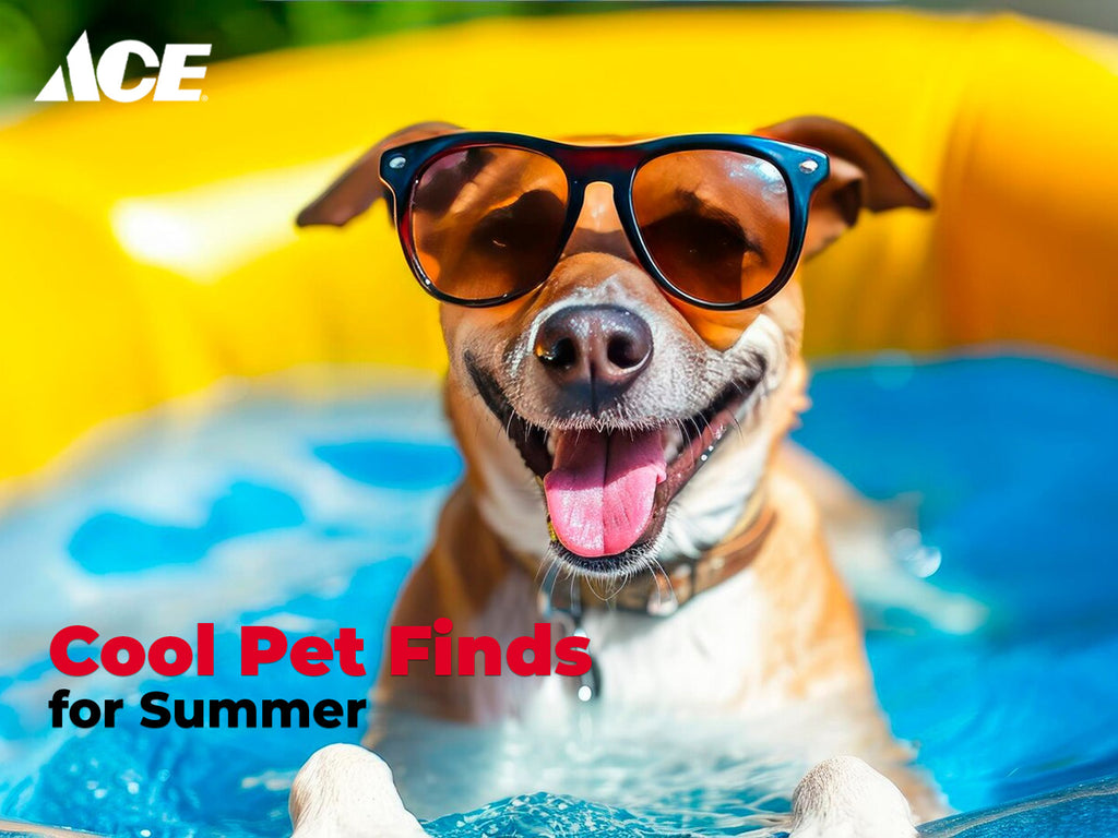 Cool Pet Finds for Summer