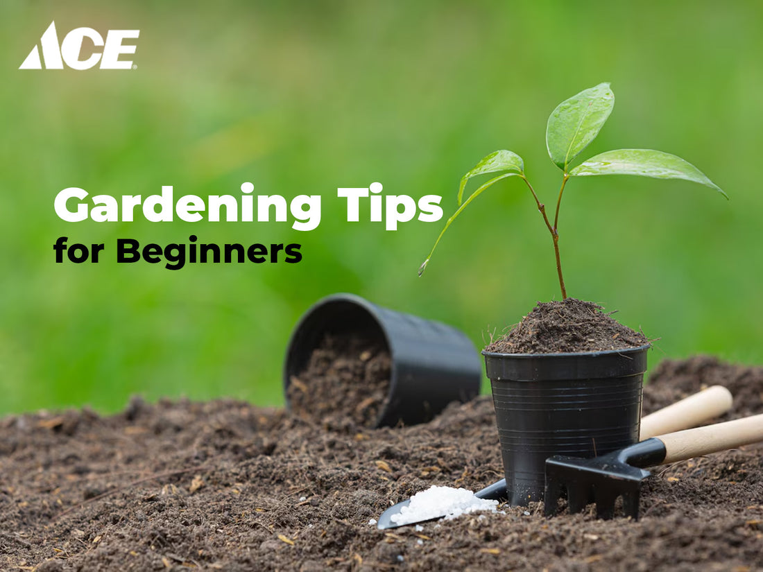 Gardening Tips for Beginners