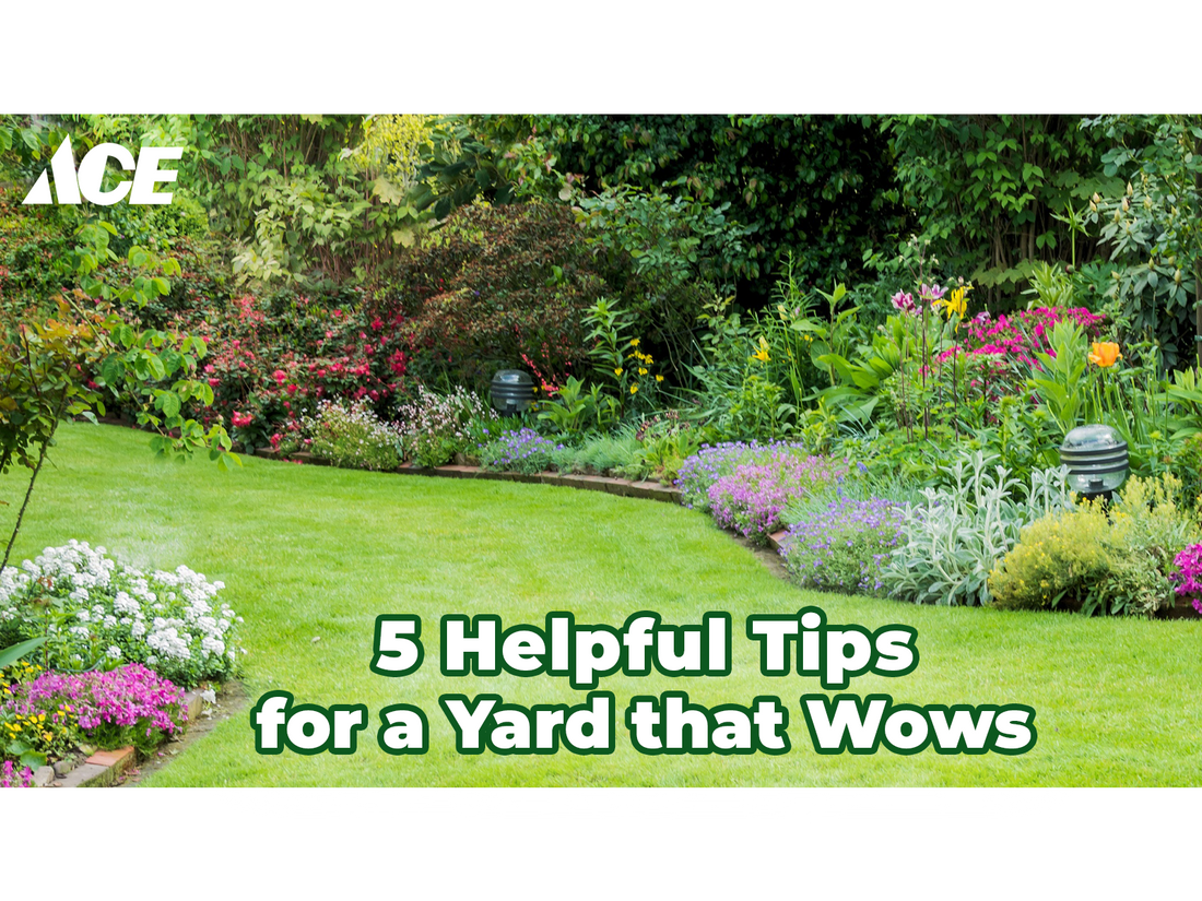 5 Helpful Tips for a Yard that Wows!