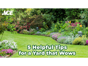 5 Helpful Tips for a Yard that Wows!