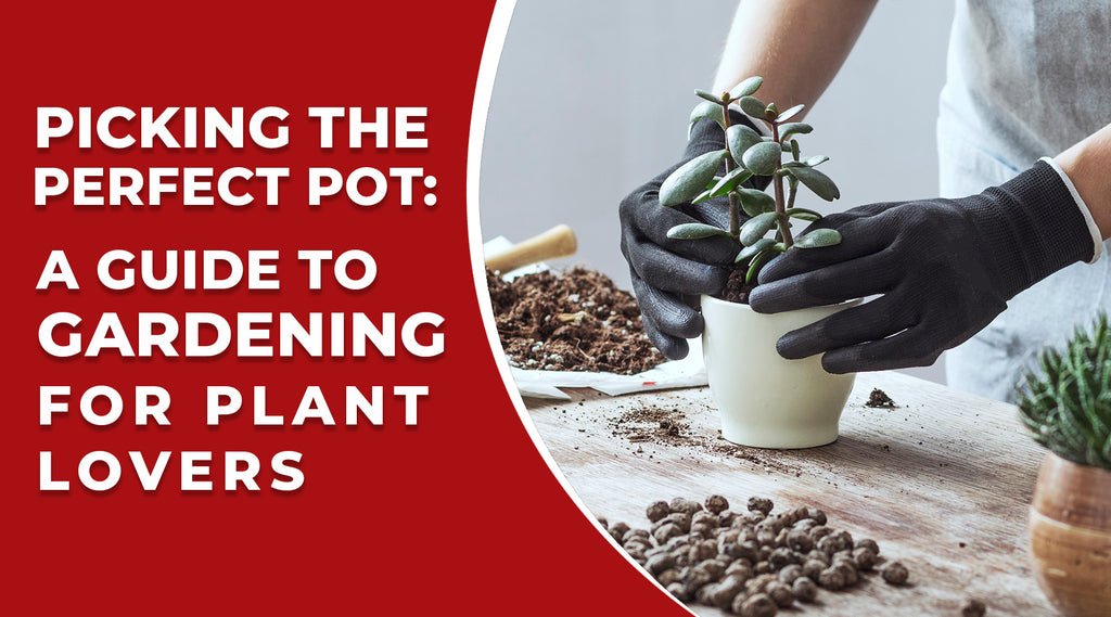 Picking the Perfect Pot: A Guide to Gardening for Plant Lovers