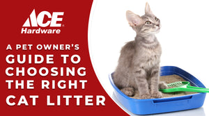 A Pet Owner’s Guide for Choosing the Right Cat Litter