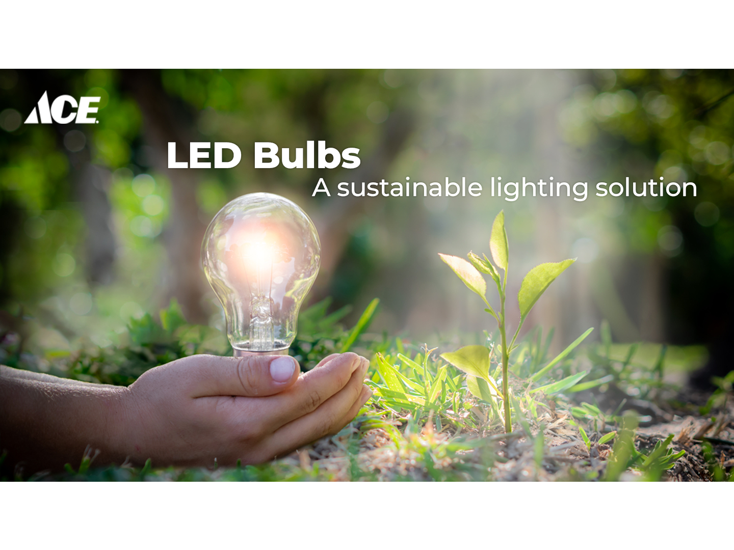 Green Led Lighting Solutions Green led lighting solutions