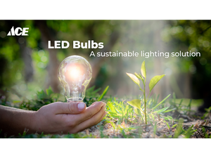 LED Bulbs: A Sustainable Lighting Solution For Your Home