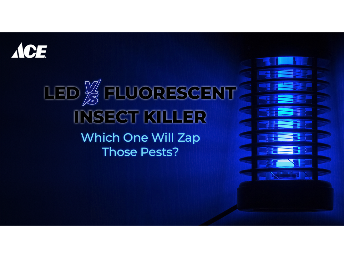 LED vs Fluorescent Insect Killer: Which is Best for Your Home?
