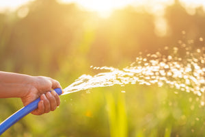 Watering Tips for Summer Gardening