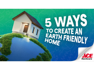 5 Ways to create an Earth-friendly home