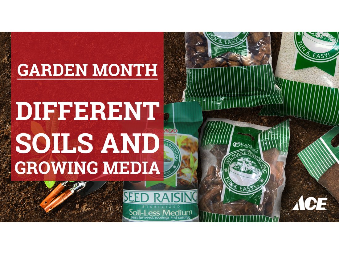 Garden Month: Different Soils and Growing Media