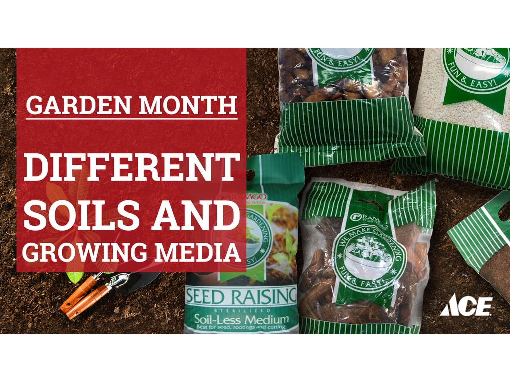 Garden month: Different soils and growing media