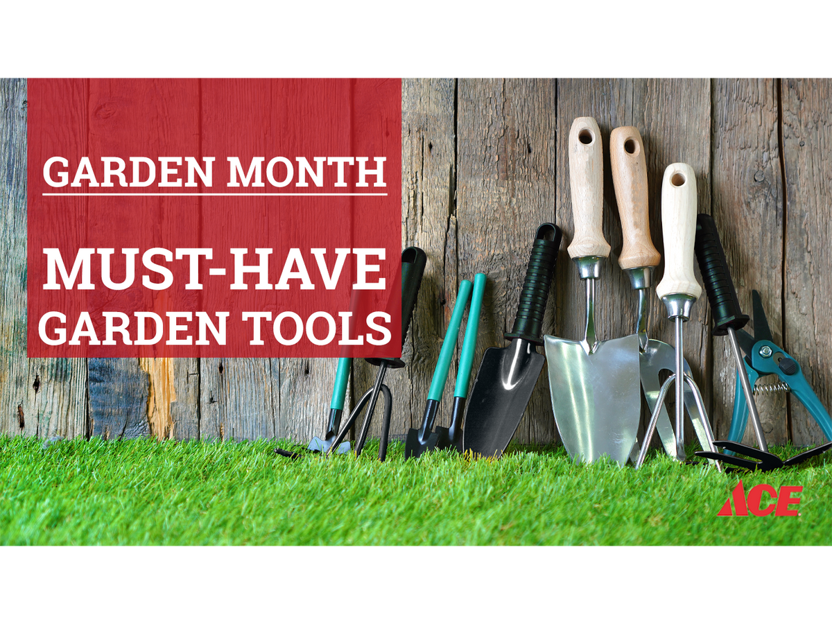 Garden month Must have garden tools AHPI