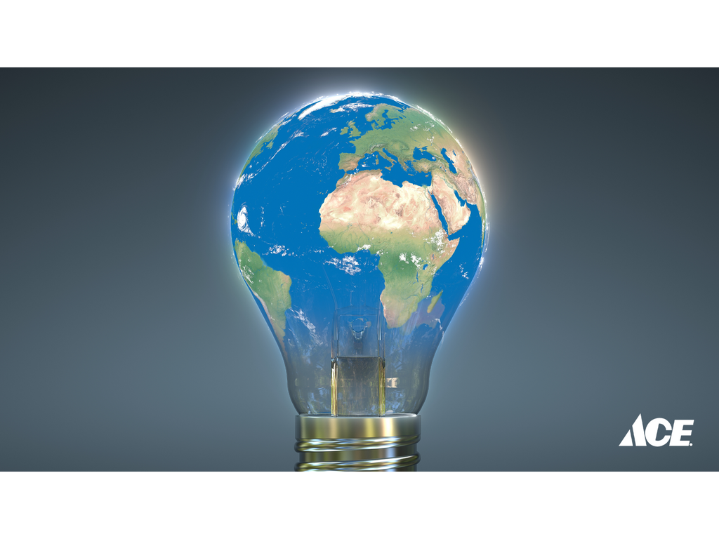 ACE Hardware observes Earth Hour 2022