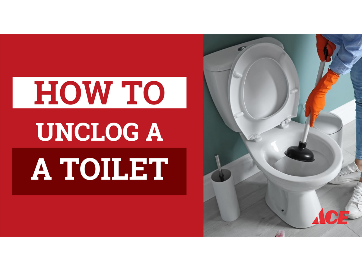 How to unclog a toilet AHPI