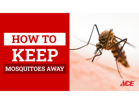 How to keep mosquitoes away