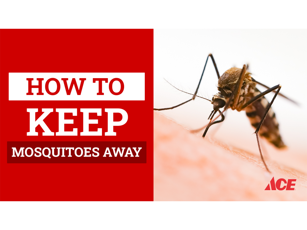 How to keep mosquitoes away