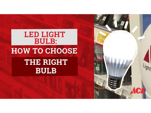 How to choose the right bulb