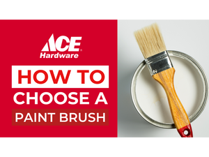 How to choose a paintbrush