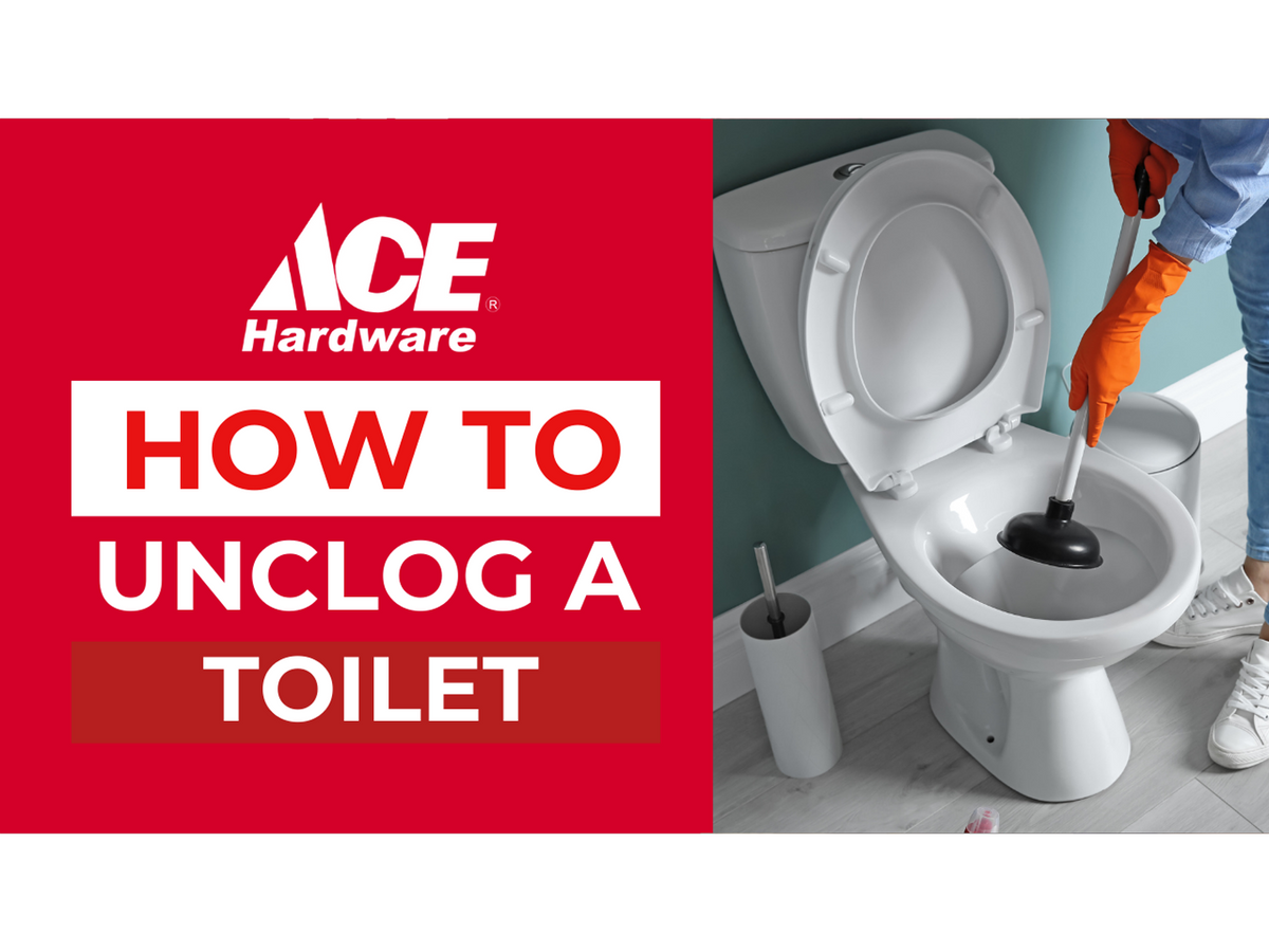 How to unclog a toilet AHPI