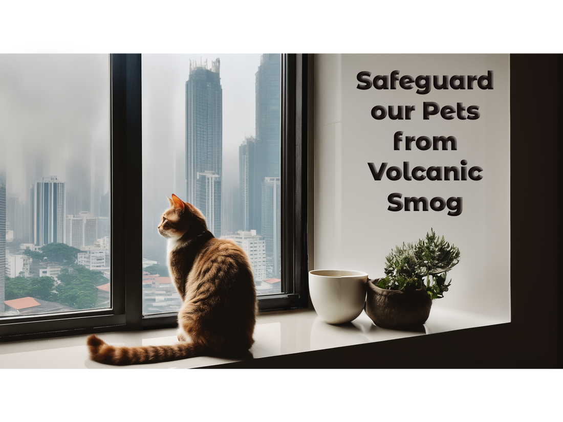 Safeguard our Pets from Volcanic Smog