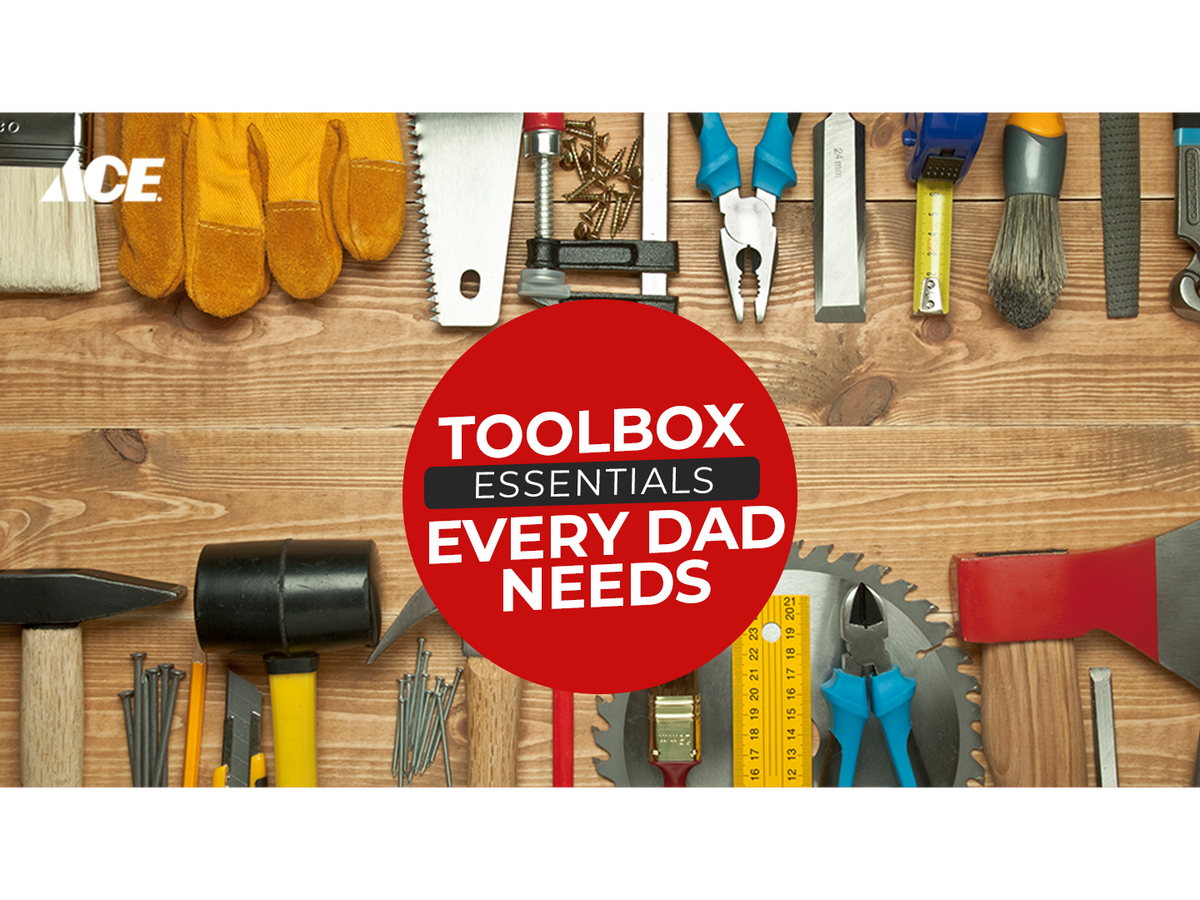 Toolbox Essentials Every Dad Needs AHPI