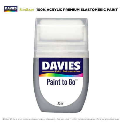 DAVIES Paint To Go 30ml Smoke Gray SR-601