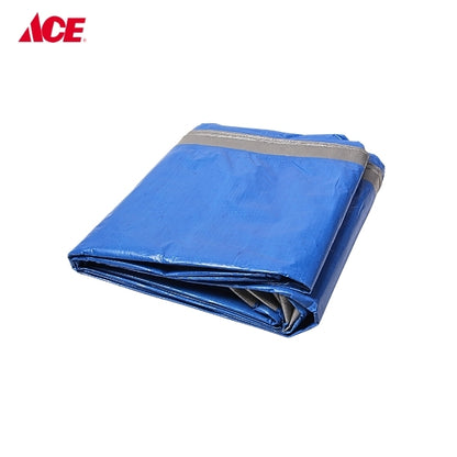 POLY CANVAS 10x12ft. Tarpaulin - Blue/Silver