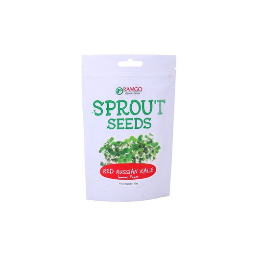 RAMGO Sprout Seeds Kale Red Russian