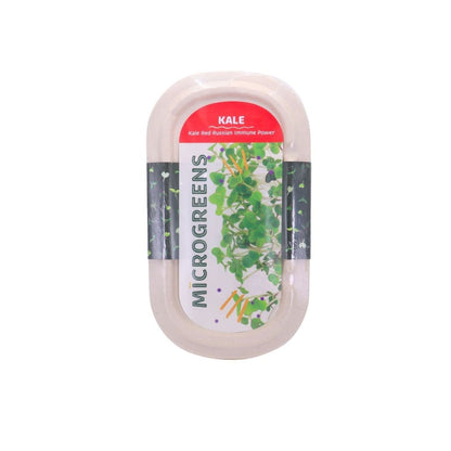 RAMGO Microgreens Kit Kale Red Russian 10G