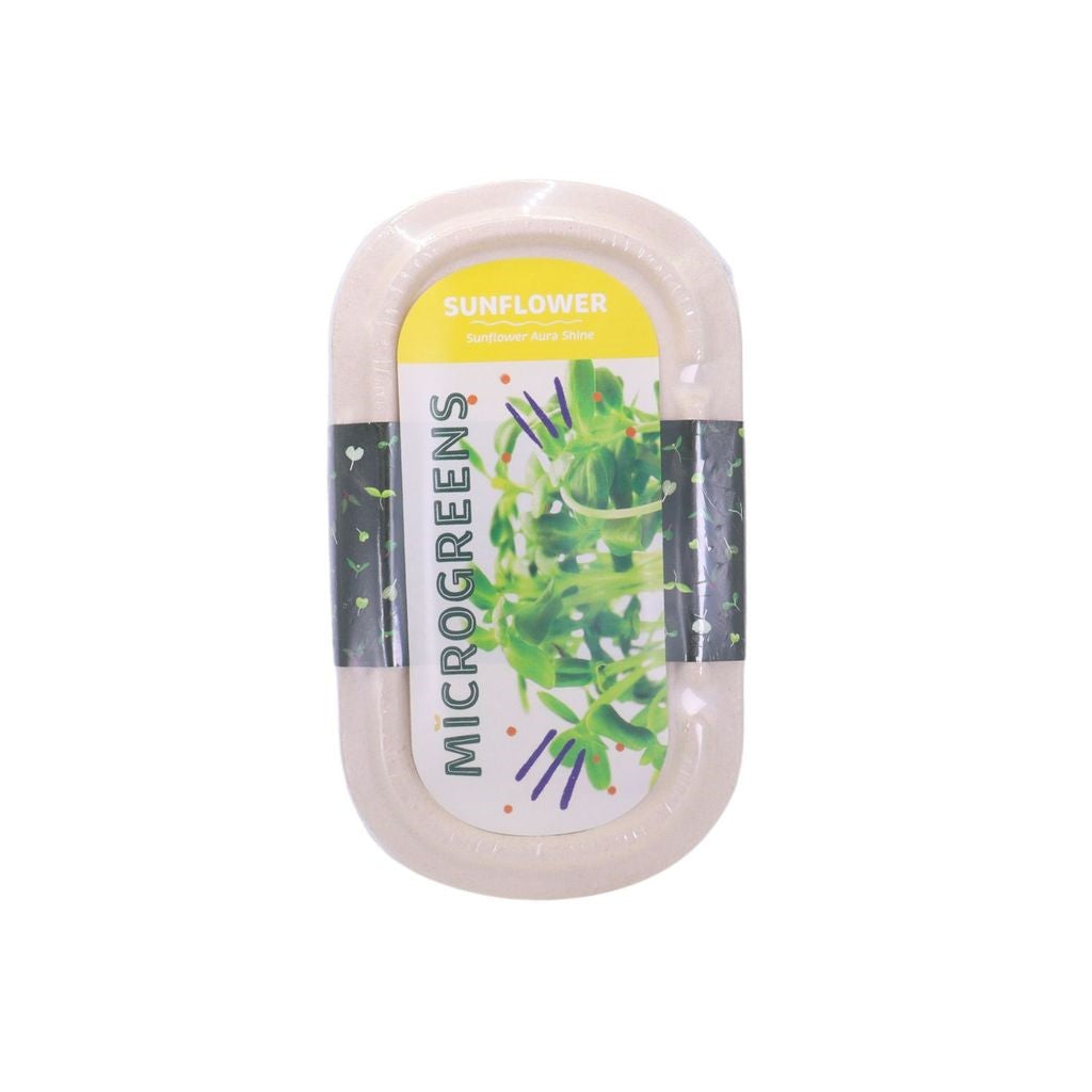 RAMGO Microgreens Kit Sunflower Aura Shine