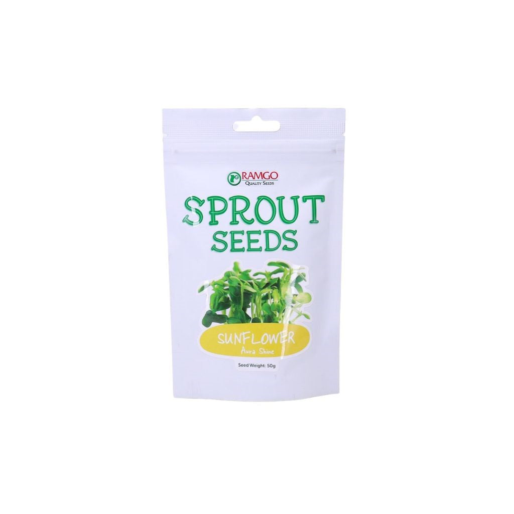 RAMGO Sprout Seeds Sunflower Aura Shine