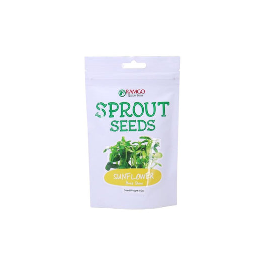 RAMGO Sprout Seeds Sunflower Aura Shine