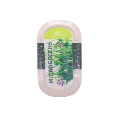 RAMGO Microgreens Kit Tendril Peas Green