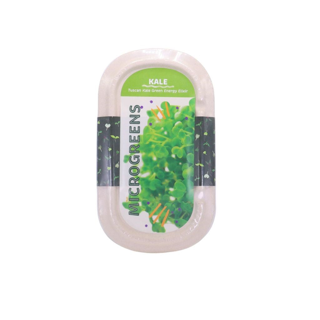 RAMGO Microgreens Kit Tuscan Kale Green Energy Elixir 10G