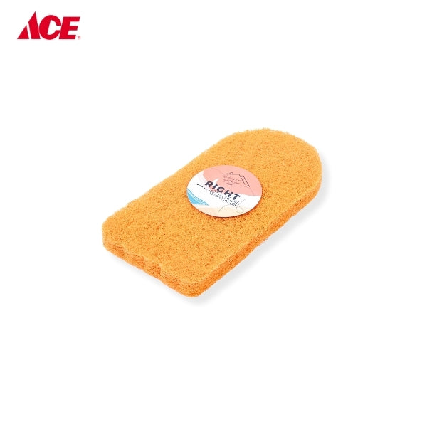 RIGHT CARE Floor Polishing Pad