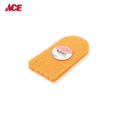 RIGHT CARE Floor Polishing Pad