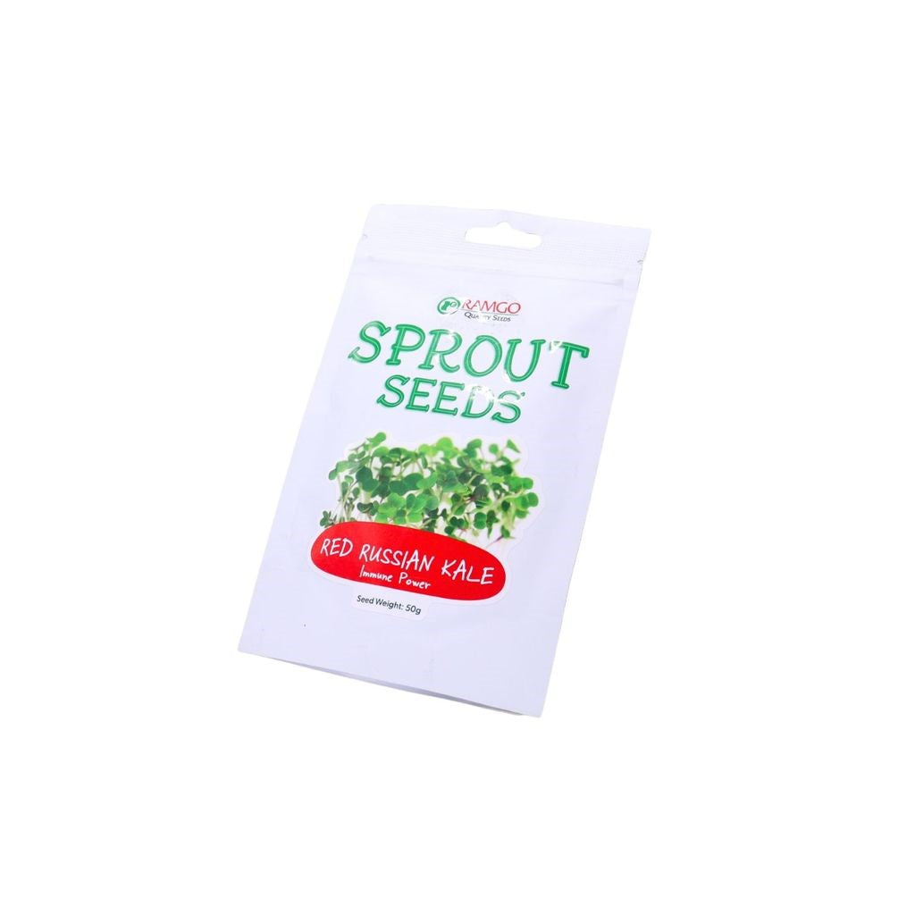 RAMGO Sprout Seeds Kale Red Russian