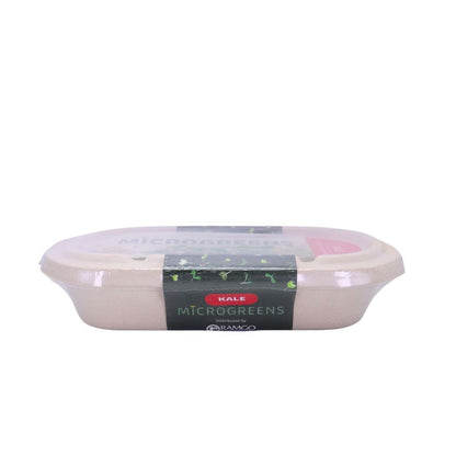 RAMGO Microgreens Kit Kale Red Russian 10G