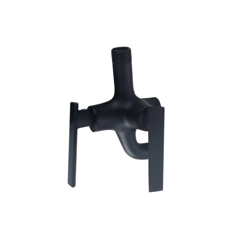 AXIS 2-Way Wall Tap Danube (AXS01FD201B)