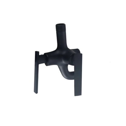 AXIS 2-Way Wall Tap Danube (AXS01FD201B)
