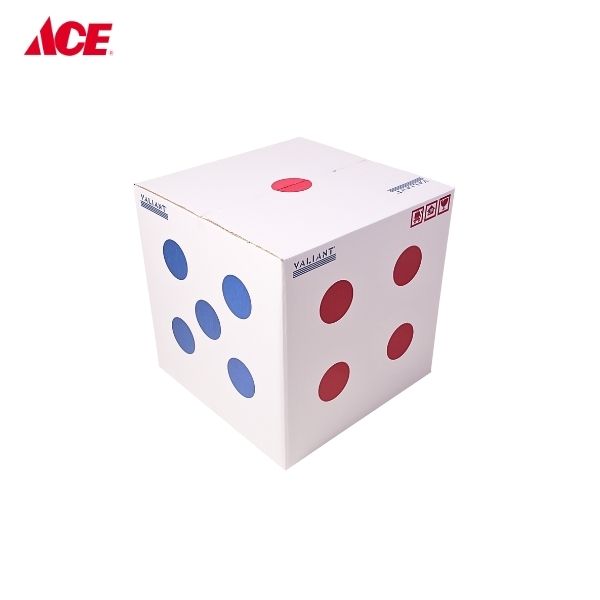 VALIANT 15x15x15 Travel Box Junior- White