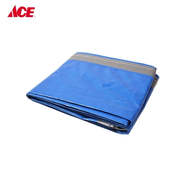 POLY CANVAS 10x12ft. Tarpaulin - Blue/Silver