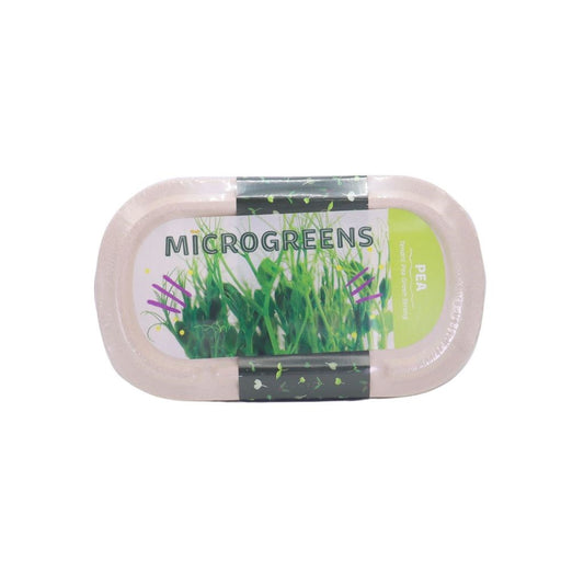 RAMGO Microgreens Kit Tendril Peas Green