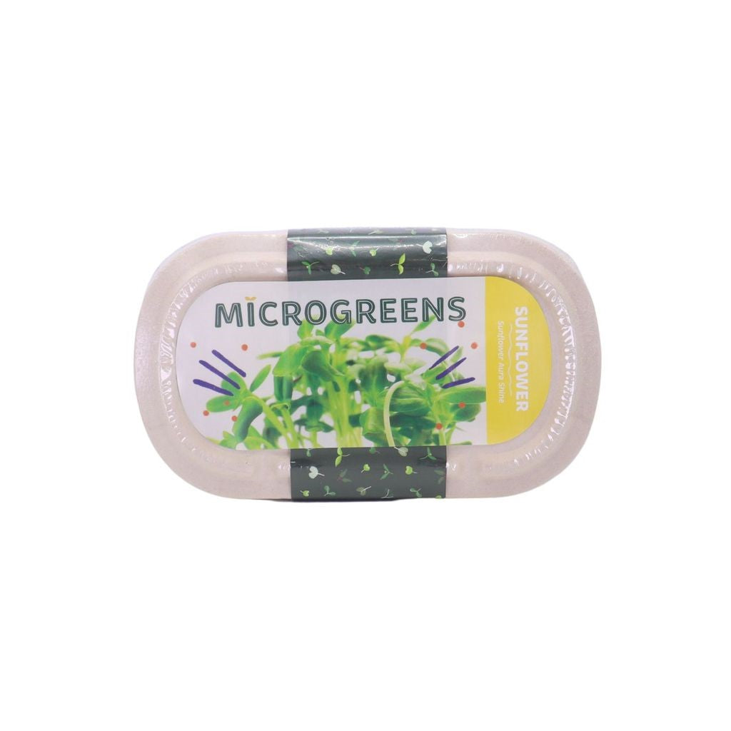 RAMGO Microgreens Kit Sunflower Aura Shine